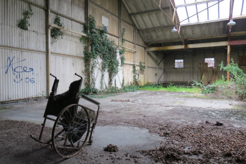 louisekeaybell:  Wheelchair and ivy covered walls in an abandoned hospital/asylum.