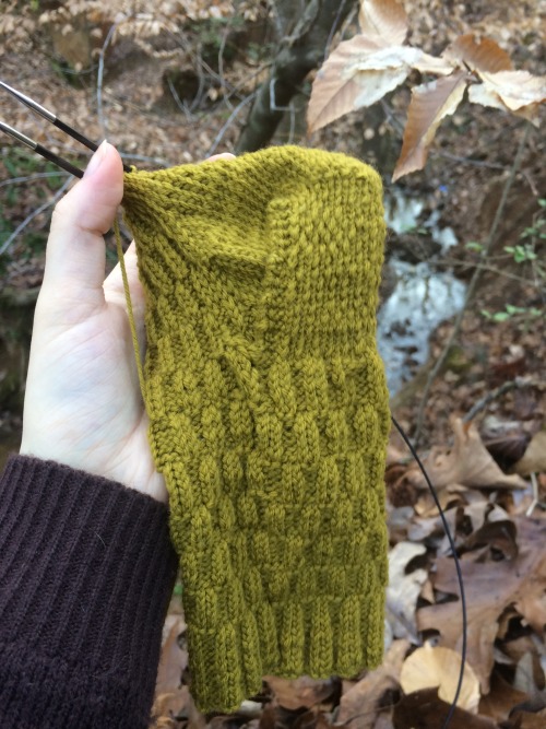 creeepsley:Sock knitting in the forest!