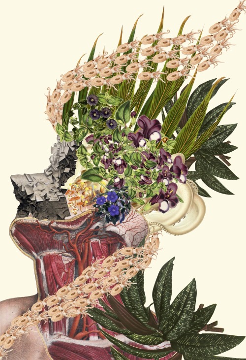 exhibition-ism: Incredible anatomical collage works from Travis Bedel - follow him on Tumblr HERE