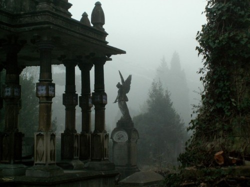 tombstonetourism:Gothic graveyard