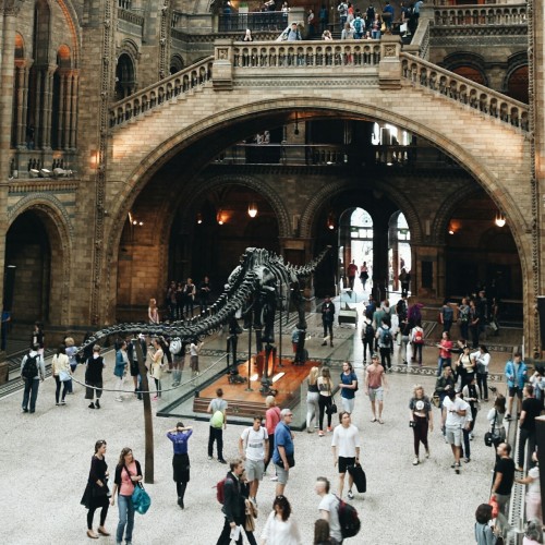 mestudyblr:Went out recently with a friend to the Natural History Museum, a place I find myself vis