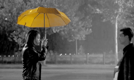 rabonghee:    “somewhere out there, there is a yellow umbrella for everyone.”  