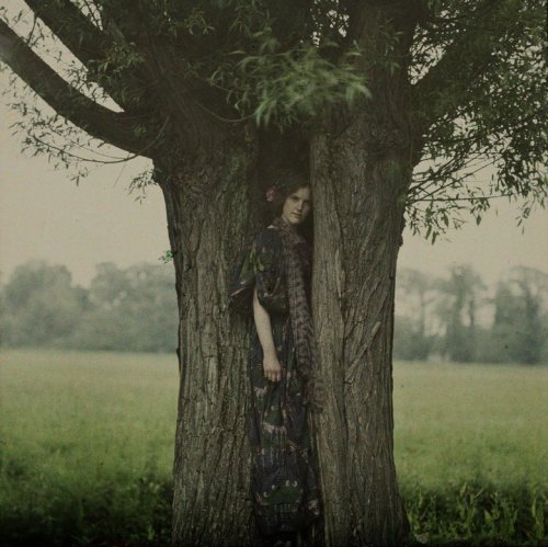 arsvitaest: John Cimon Warburg, The Dryad, ca. 1910via killerbeesting