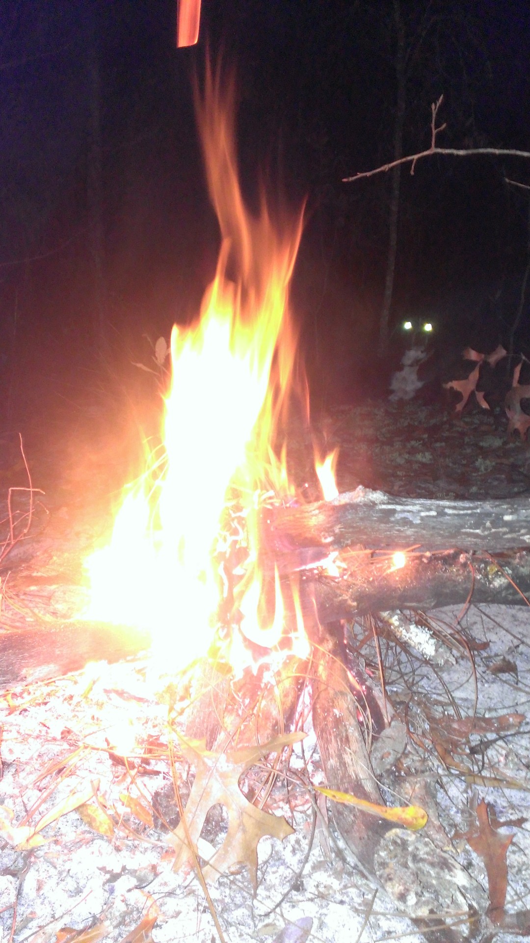 twoobirdsonestone:  I took a picture of the fire and my fucking dog was in the background