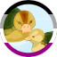 creativheroann