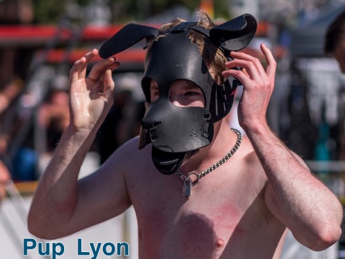 castrokinky: Cutie pups @pup-lyon and @whisperpup after being released from their co-mummification 