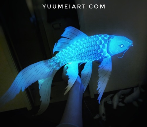 yuumei-art:I made a butterfly koi variation of my paper koi lantern. Butterfly koi are type of koi w