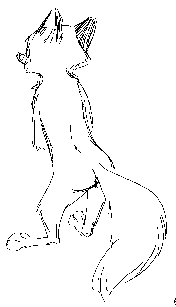 foxefuel:posing foxe Awyiss~