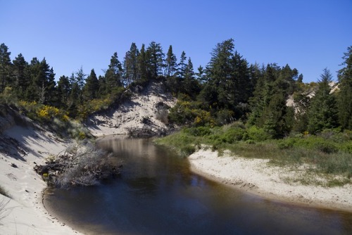 takenitch dunes (2018)