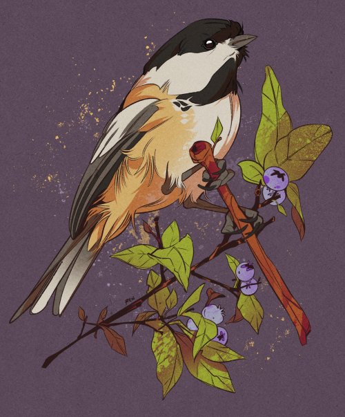 godzillabreath: Blueberry chickadee, commissioned piece for Megan