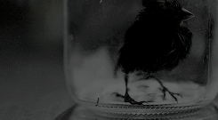 vanessayves:                         So killing somebody, even if you have to do it, it feels that b