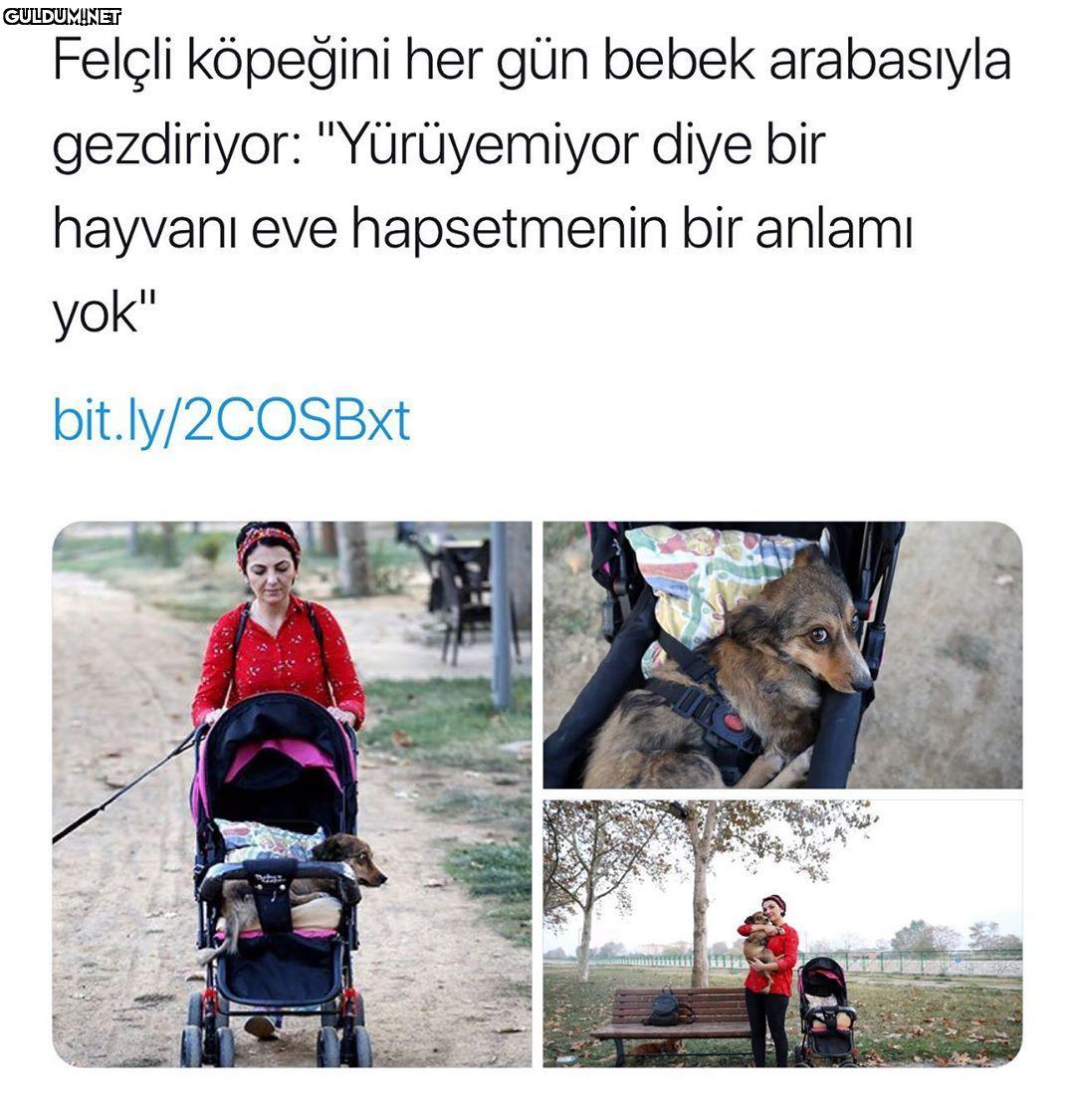 Hasret kaldık böylesi...