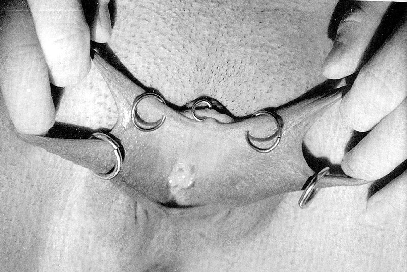 The Modified Mind