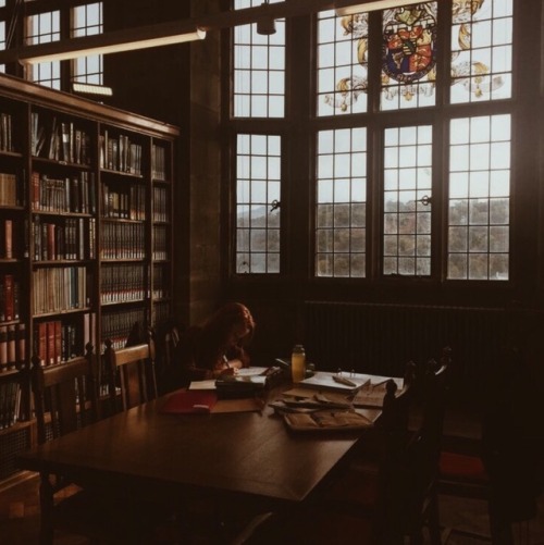 cozycupofcoffee:What a lovely day for a study session in the Hogwarts Library ⚡️