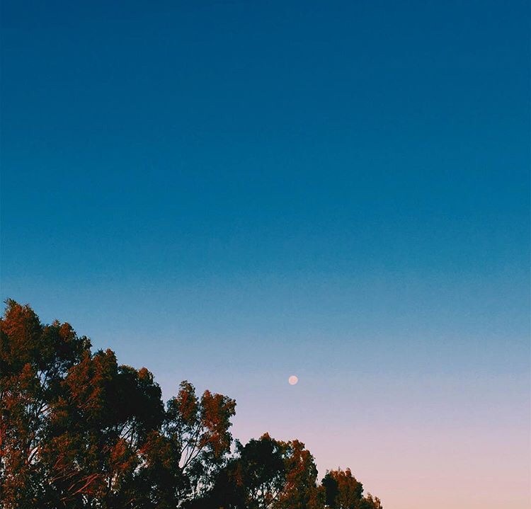 kubriq:  extractos de momentos bonitos en concepción, chile. - instagram | @humanofelipe