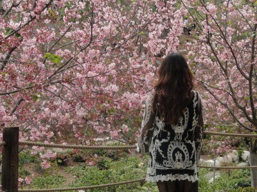 It’s spring in Balboa Park, San Diego.