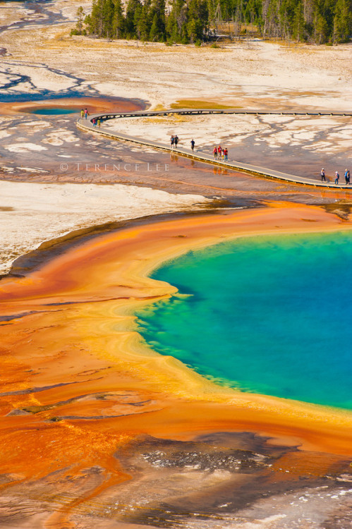 sublim-ature:  Grand Prismatic Spring, WyomingTerence Lee 