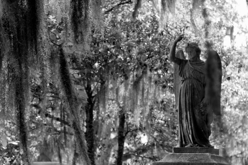 seanjustice:  -Photo by seanjustice Savannah, Ga.