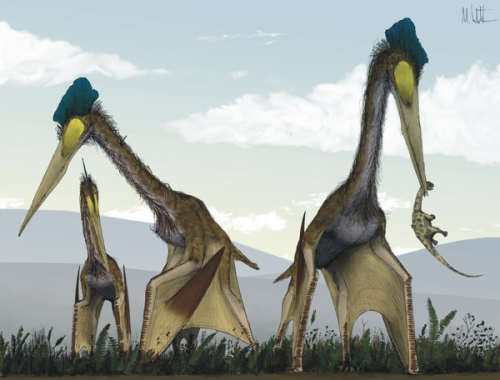 At Least As Far As The Rodan Design, For Me It Was Less About Realism And More That I Thought It Would