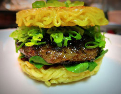 advice-animal:Ramen Noodle Burgerhttp://advice-animal.tumblr.com/