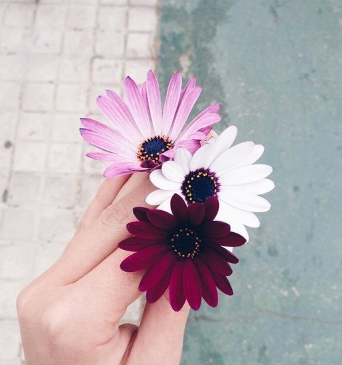 passium:vintage blog