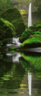 opticallyaroused:  Elowah Falls – Columbia