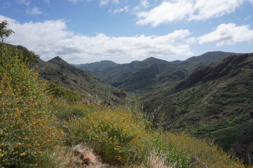 Echo Cliffs, Santa Monica Mountains, California