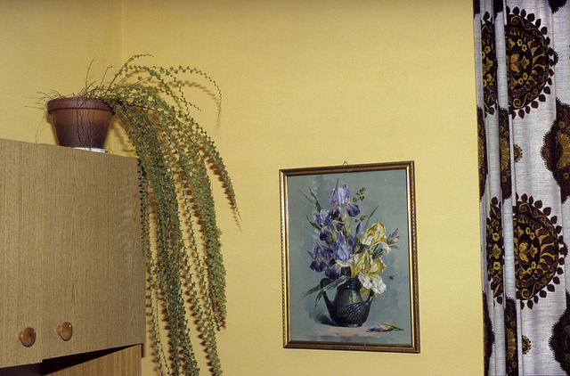 decoratingwithhouseplants:Zimmer by kap_7 on Flickr.