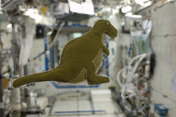 coldtofire: dirtyblondemind:  womeninspace:  NASA astronaut Karen Nyberg is a self proclaimed crafter. A week ago she made a stuffed dinosaur from scraps on the space station. The little T-rex is made form the lining of Russian food containers and the