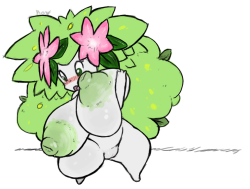 roymccloud:  I drew a friend’s Shaymin fan character in OC