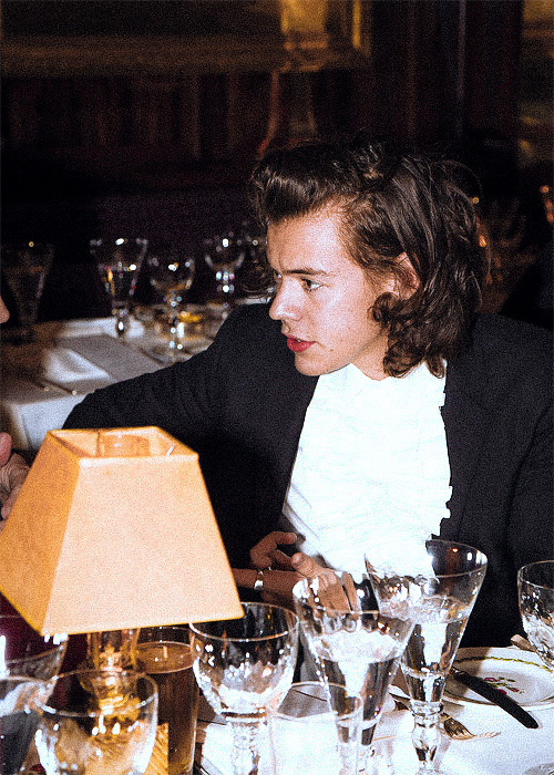 Prince Harry Rights