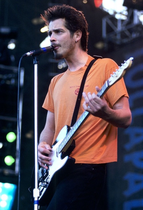 sick-sad-little-world:✨Chris at Lollapalooza 1996✨