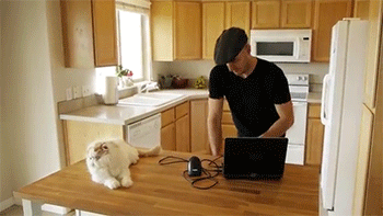sizvideos:  CatzookaVideo