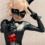 chat-noir-is-best-boy