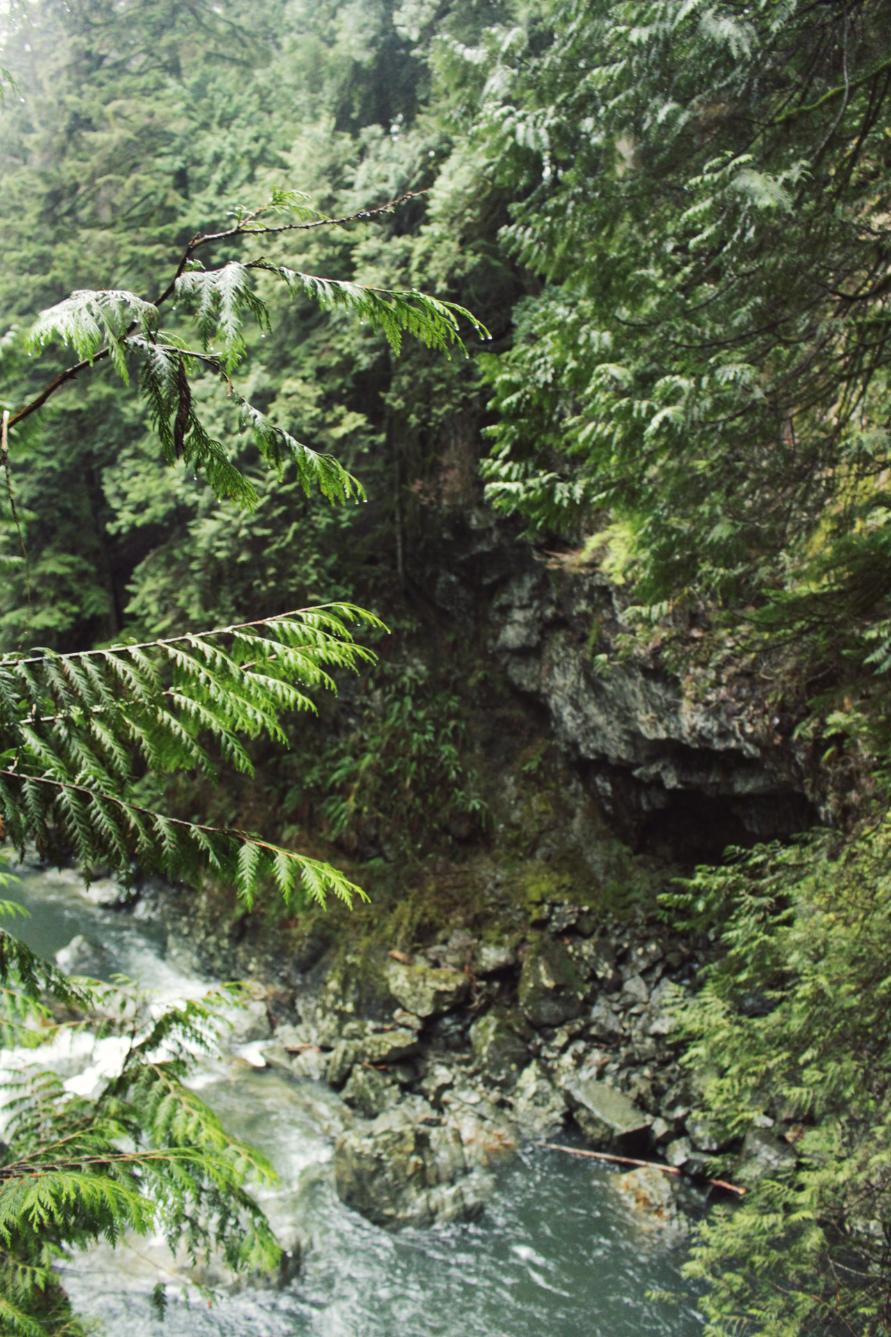 matchbox-mouse:  Standing over the rushing water. On a hike in Lynn Canyon, British