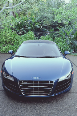 wormatronic:  2009 Audi R8 V10 | More