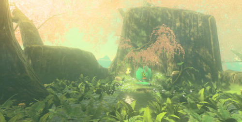 Korok Forest