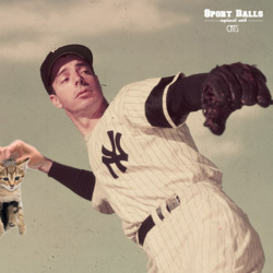 “Where have you gone, Joe DiMaggio
A kitten turns its lonely eyes to you (Woo, woo, woo)