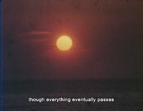 365filmsbyauroranocte:As I Was Moving Ahead Occasionally I Saw Brief Glimpses of Beauty (Jonas Mekas