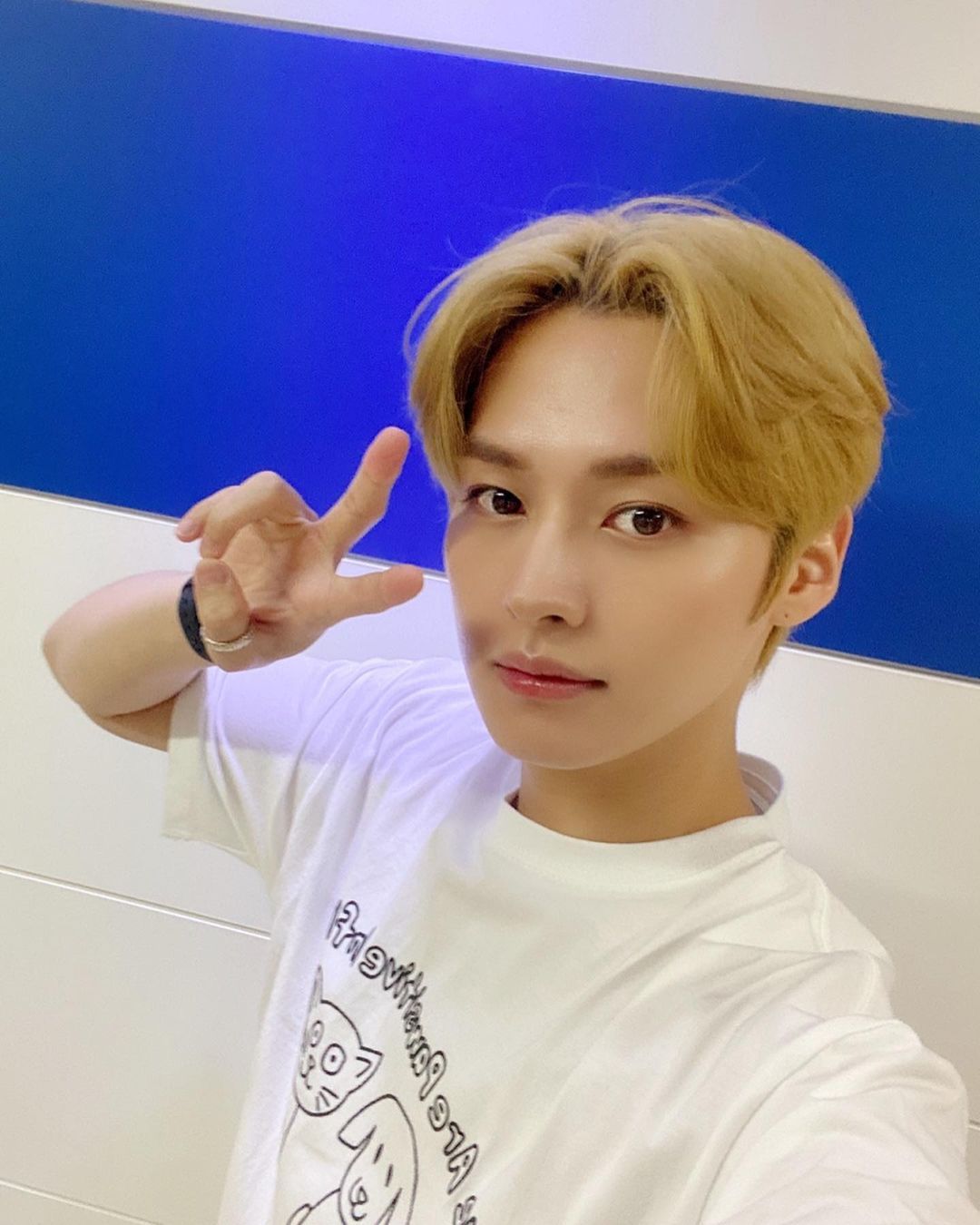 Taek-Jae-Jin Biased — Lee Know (Stray Kids) Selcas