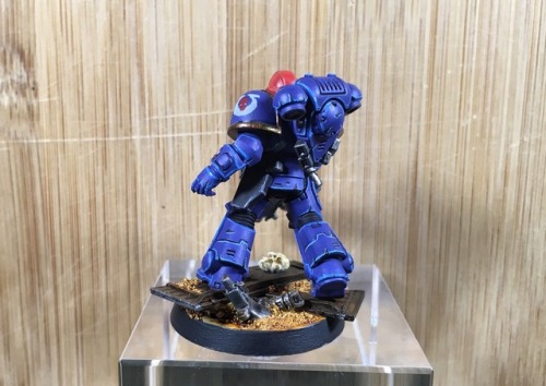 Primaries intercessor sergeant