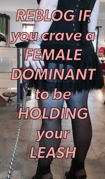 girlsplzhelpmebeasissy: chastity-queen:   promommy:   REBLOG if you want a female to leash you!  https://clips4sale.com/studio/111750/Chastity-Queen   I would leash you!  A LEASH GIVES AWAY YOUR POWER TO THE SUPREME FEMALE ABOVE YOU.   I am looking for