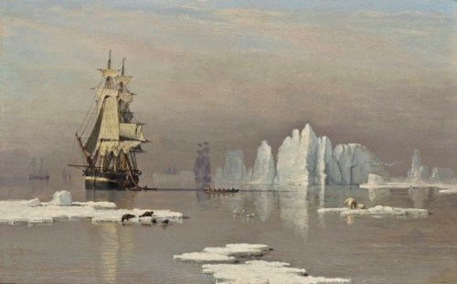 ltwilliammowett:The Northern Whale Fishery: The Hull whaling ships Isabella and Swan in Baffin Bay w