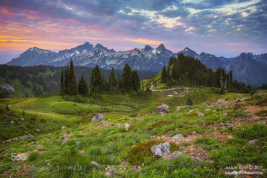 random-photos-x:  Wonder by AaronReedPhotography. (http://ift.tt/1EoBfOJ)