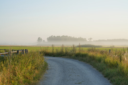 Some photos from this morning. I was just driving around on backroads in the countryside.