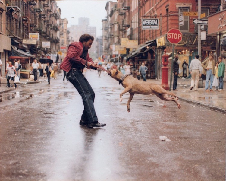 bobbycaputo:    Authentic Street Photography by   Jamel Shabazz  of 1980s New York