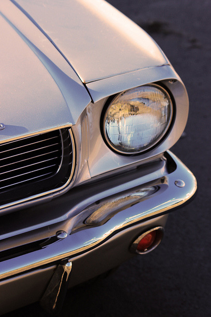 ford-mustang-generation:  e by hailepo on Flickr.