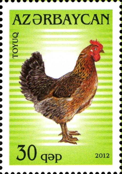 chickenoftheday:Chicken postage stamps from Tunisia, USSR, Mongolia, Norway, Azerbaijan, Cameroon, S