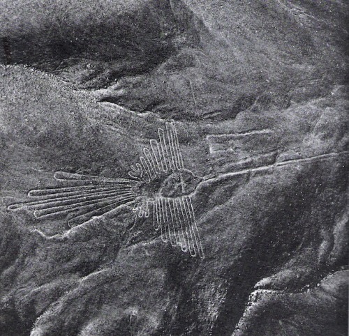 neo-catharsis: Marilyn Bridges,  Birdman, Nazca, Peru, 1979