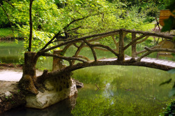 outdoormagic:The wooden troll bridge by Long
